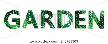 Garden Text Green Leaves Abstract Vector Design.