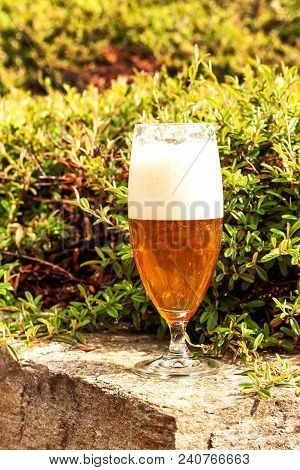 Beer In A Glass On Granite Stone. Summer Evening In The Garden