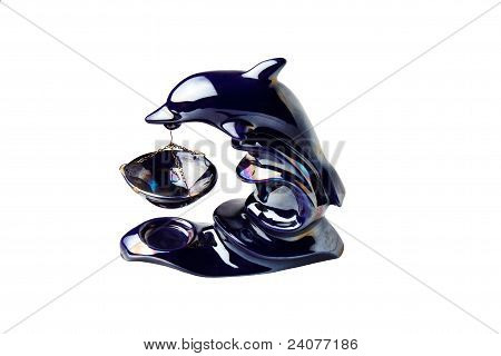 Bruciare olio delfino