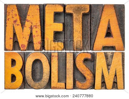 metabolism - isolated word abstract in vintage letterpres wood type