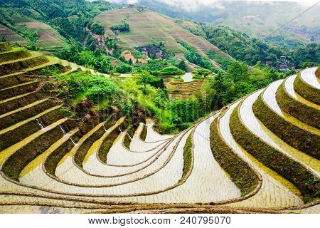 Stunnig Scenery Of Chinese Rice Terrace Near Guilin In Guangxi Province