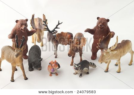 Animais da floresta