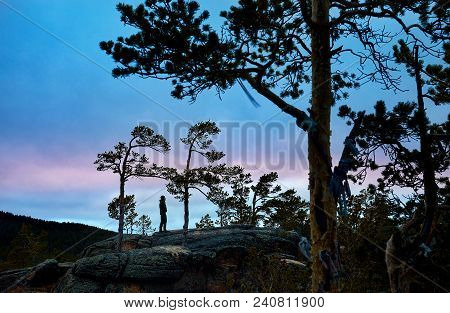 Man Silhouette In The Forest