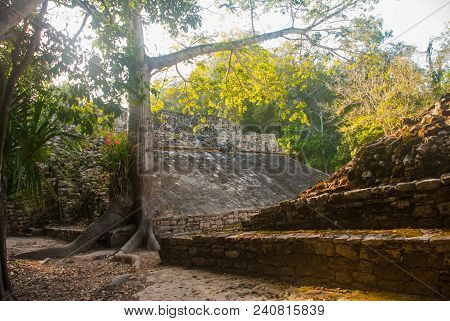 Coba, Mexico. Ancient Mayan City In Mexico. Coba Is An Archaeological Area And A Famous Landmark Of 