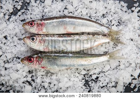 Fresh Sardines On A Coarse Salt Layer Over A Slate Background