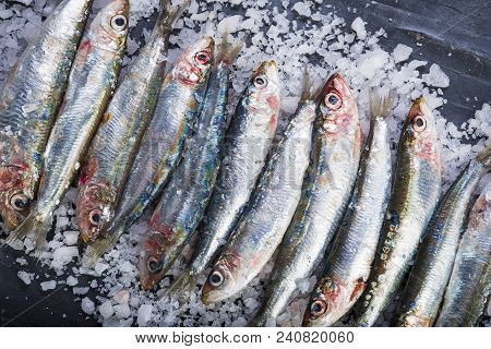 Fresh Sardines On A Coarse Salt Layer Over A Slate Background