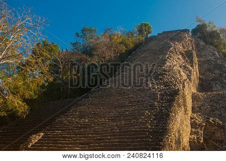Coba, Mexico, Yucatan: Mayan Nohoch Mul Pyramid In Coba. Upstairs Are 120 Narrow And Steep Steps. Cl
