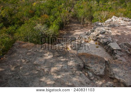 Coba, Mexico, Yucatan: Top View Of The Jungle From The Great Pyramid Of Coba Nohoch Mul.