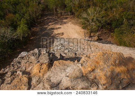 Coba, Mexico, Yucatan: Top View Of The Jungle From The Great Pyramid Of Coba Nohoch Mul.