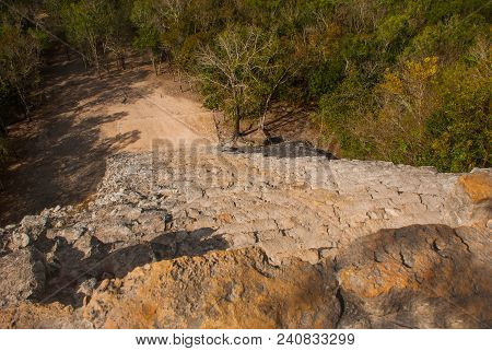 Coba, Mexico, Yucatan: Coba, Mexico, Yucatan: Top View Of The Jungle And The Steps Of The Great Pyra