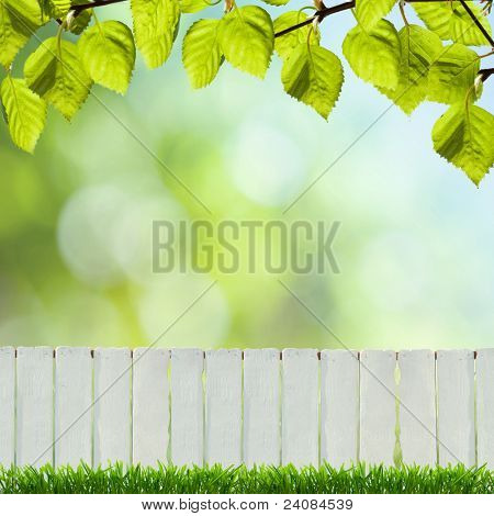 white fence and green grass