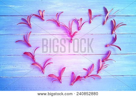 A Heart Shape Of Brown Seed With Pink Root Of Yang Tree And Pink Light On Blue Wooden Table
