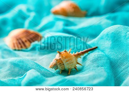 Several Seashells On Cian Cloth Background. Summer Holiday Concept