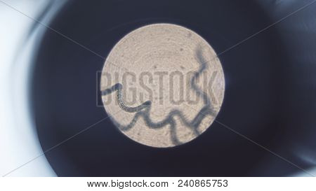 Close Up Of A Structure Being Analyzed And Watched Under A Microscope. Close Up Shot