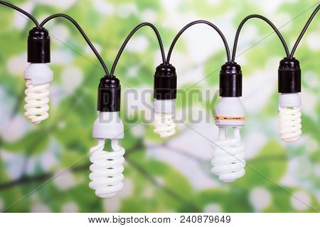 Compact, Fluorescent Energy-saving Lamps Of Different Power, On Light Green Background