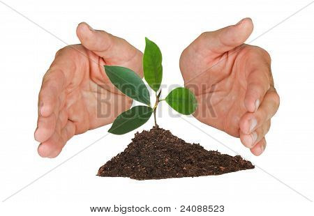 แผนภูมิที่มีป้องกัน ด้วยมือ