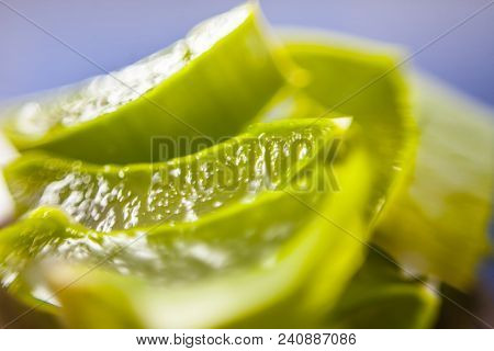 Medicinal And Floral Essence Of Ayurvedic Herb Aloe Vera With Its Leaves In A Transparent Bottle On