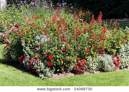 Flower Bed i Park, Lke Geneve, Schweiz