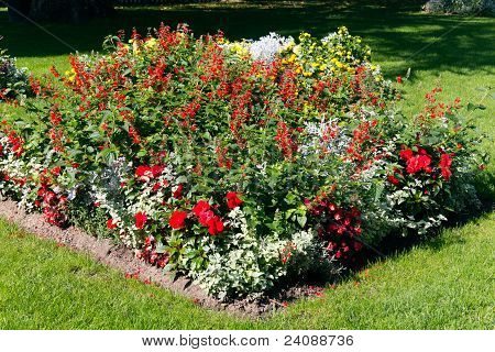 Flower Bed i Park, Lke Geneve, Schweiz