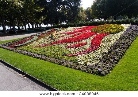 Flower Bed i Park, Lke Geneve, Schweiz