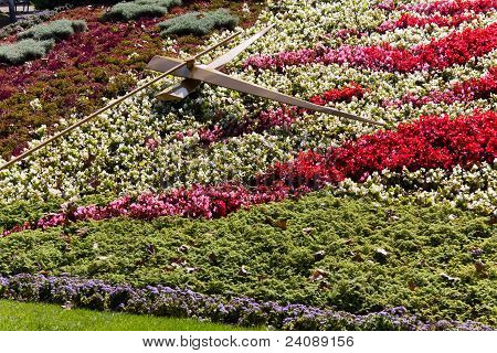 Flower Bed i Park, Lke Geneve, Schweiz