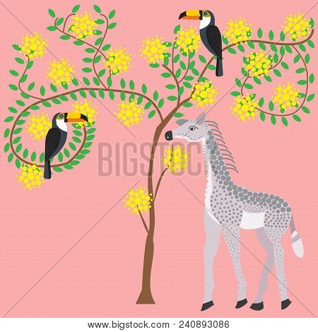 The Baby Giraffe Is Beside The Tree Of Acacia Blossoms, The Bird Is The Toucan.african Animals And P
