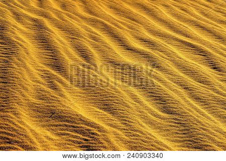 Golden: Macro Sand Pattern On Sand Dunes, Death Valley, California