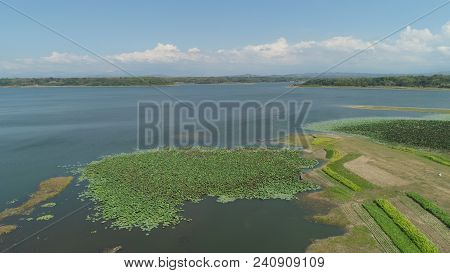 Aerial View Of Paoay Lake With Water Lilies, Philippines. Lake Against Background Of Mountains And S
