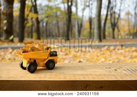 The Concept Of Seasonal Harvesting Of Autumn Fallen Leaves Is Depicted In The Form Of A Toy Yellow T