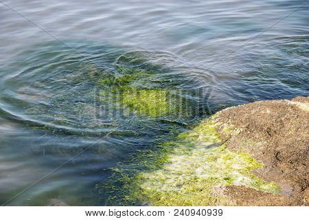 Rocks In The Water. Beautiful Rocks In The Sea
