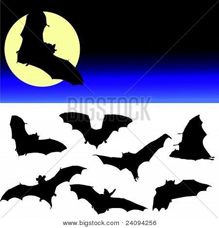 Bat černá silueta a měsíc ilustrace