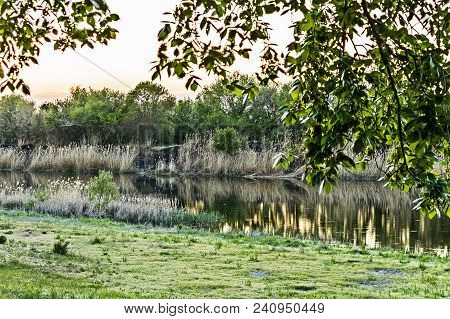 River, Shrunken Reeds And Fresh Spring Greens