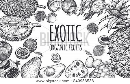 Decoration With Exotic Fruits And Berries. Pineapple; Avocado; Pomegranate; Lychee; Durian; Passion 