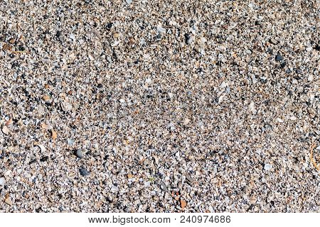 Close Up Beautiful Background And Texture Of Pieces Of Shells And Stones On Sand Beach