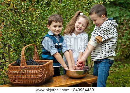 Children Squeeze Grapes With Their Hands
