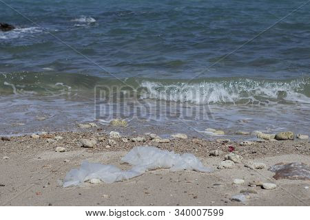 The Rocks And Shells That Were Washed Into The Sand And Laid On The Shore And Used White Plastic Bag