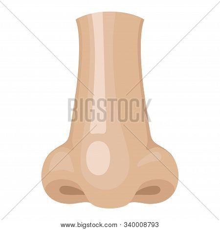 Human Nose, Nostrils, Breathing And Smelling Icon