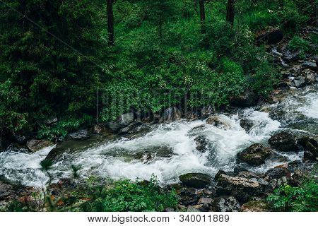 Atmospheric Green Forest Landscape With Mountain Creek. Beautiful Mystery Taiga With Wild River. Viv