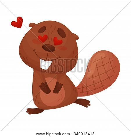 Cartoon Beaver Character Standing With Hearts In His Eyes Vector Illustration