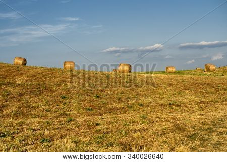 Summer Landscape Along The Road To Camigliatello Silano, Cosenza, Calabria, Italy, In The Sila Natur