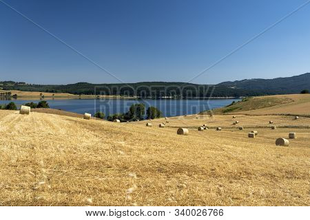 Summer Landscape Along The Road To Camigliatello Silano, Cosenza, Calabria, Italy, In The Sila Natur