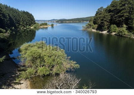 Summer Landscape Along The Road To Camigliatello Silano, Cosenza, Calabria, Italy, In The Sila Natur