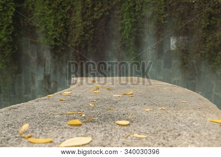 The Yellow Leaves Passed Away From The Trees On The Old Cement Floor. Behind It Is An Old Green Wall