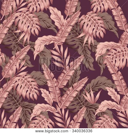 Abstract Composition Consist Creative Pink Color Tropical Palm Banana Monstera Fern Leaves. Exotic S