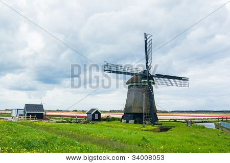Hollandsk vindmølle