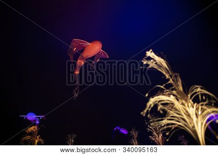 Lyon, France, Europe, 6th December 2019, View Of The Fetes Des Lumieres Aka Festival Of Light And Th