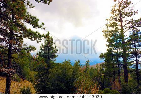 Storm Clouds Above An Alpine Coniferous Forest Taken In The Rural San Bernardino Mountains, Ca