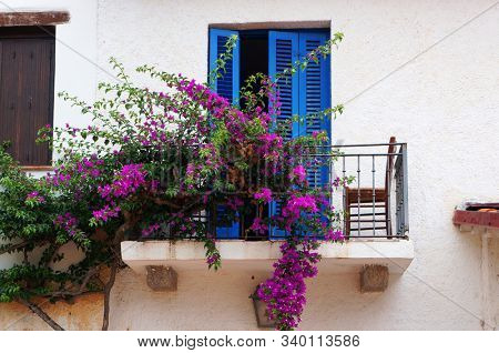 Balcony with blue sun blinds and plant blooming with pink flowers on white wall in Loiri Porto San Paolo, Sardinia, Italy.