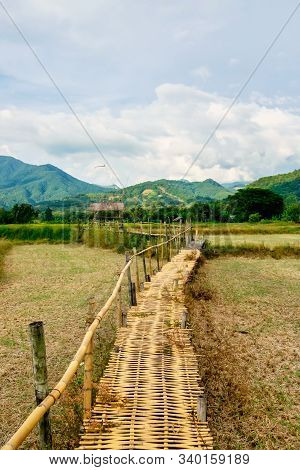 Thai Bamboo Walking Path And Bridge With Beautiful Sky And Forrest Background