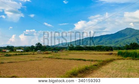Panoramic Beautiful Landscape Shot